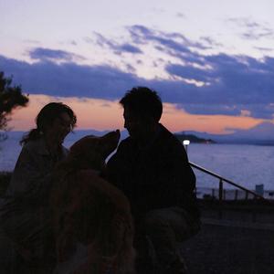 欧美激情电影在线
