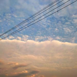 欧美激情电影在线
