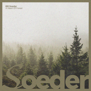 欧美激情电影在线
